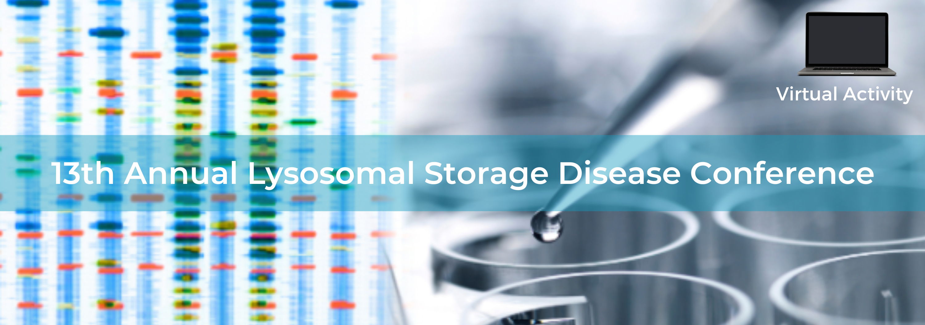 13th Annual Lysosomal Storage Disease Conference Banner